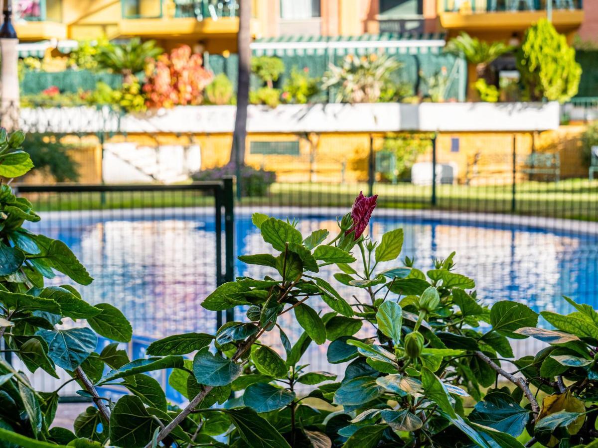 Palm Beach Apartment - توريمولينوس المظهر الخارجي الصورة